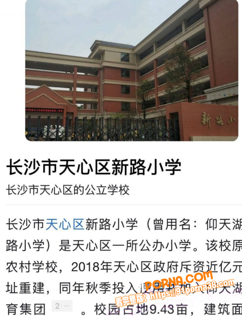 长沙新路小学老师 昌瑾昀...（14）