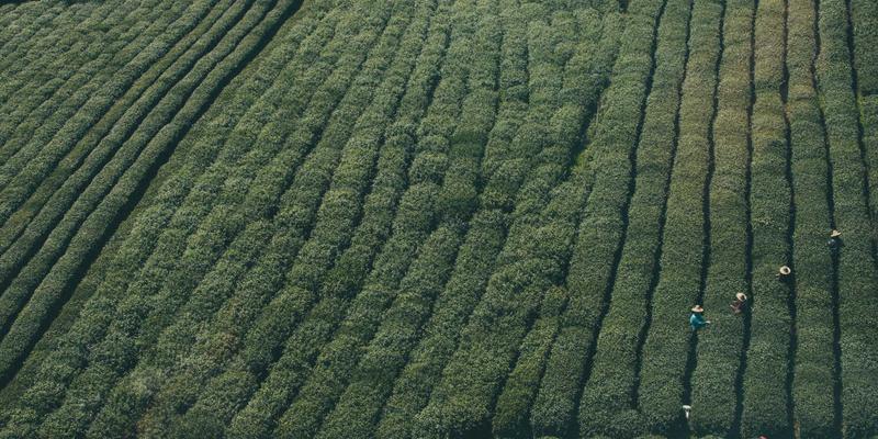 青岛建筑企业会计如何深度参与投标报价中的成本与利润测算