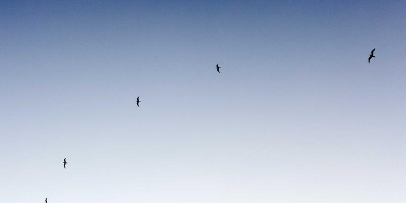 青岛建筑企业研发费用加计扣除全流程解析与税务风险防范指南