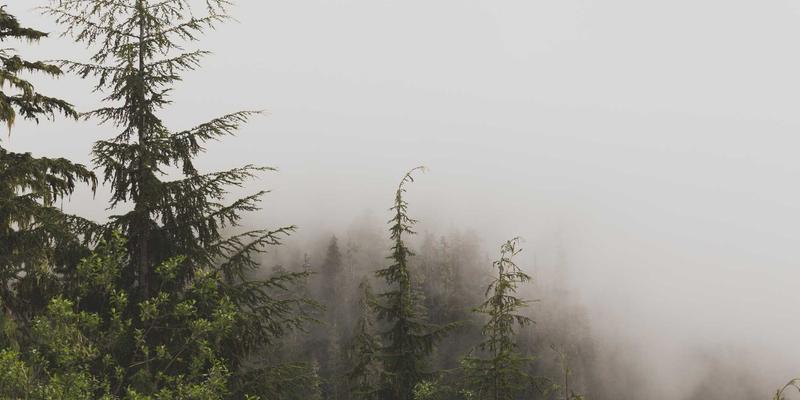 青岛建筑会计4:承包商税务优化与专业建筑财务服务全解析