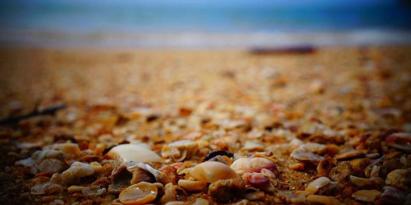 青岛建筑会计95:专业会计服务如何助力建筑公司与承包商税务合规与降本增效