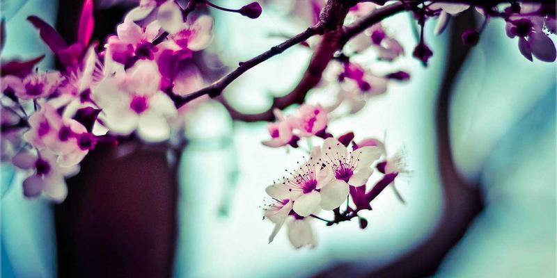 青岛建筑会计98:承包商税务与财务管理实战指南