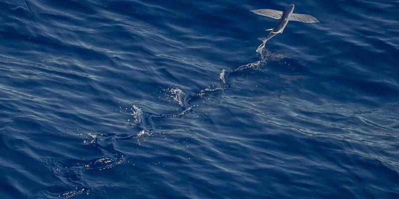 青岛建筑行业财务解决方案：专业会计服务如何赋能建筑工程企业